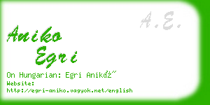 aniko egri business card